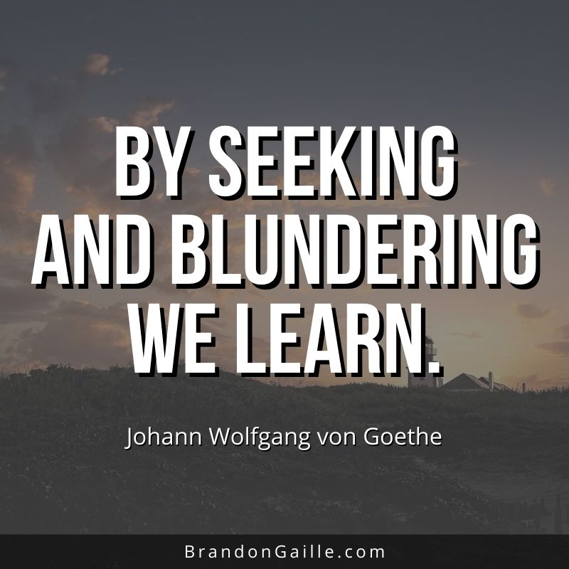 Johann Wolfgang von Goethe quote: By seeking and blundering we learn.