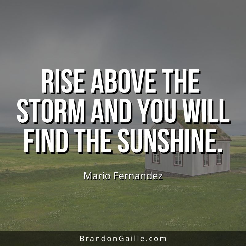 Mario Fernández Quote: “Rise above the storm and you will find the  sunshine.”