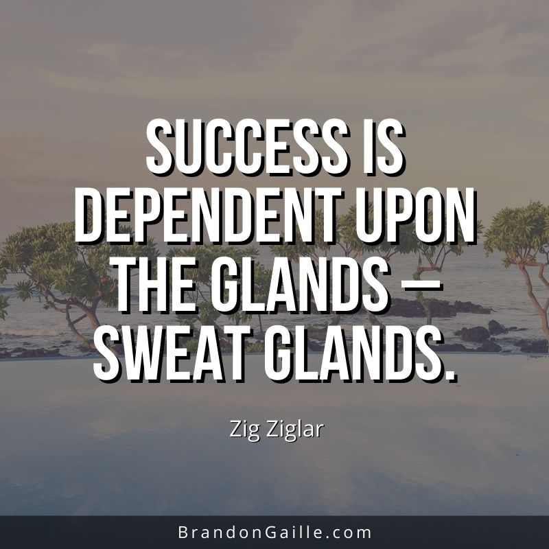 Zig-Ziglar-Quote